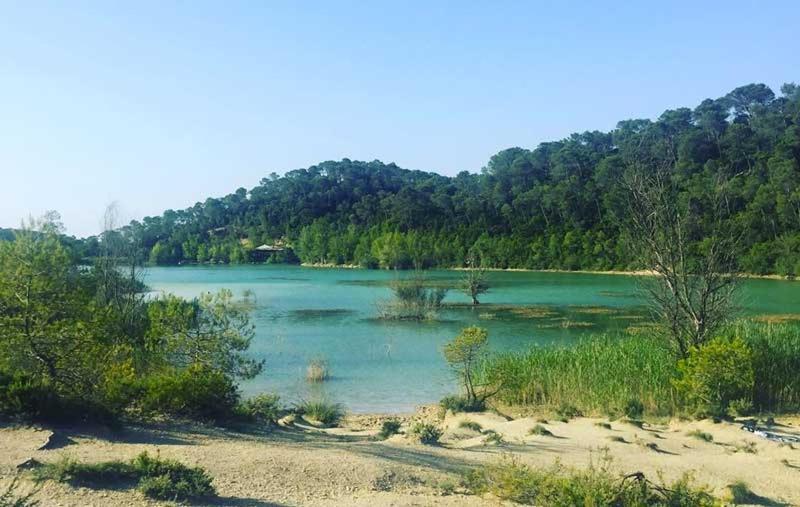 Magnifique Villa Typique Du Sud Avec Piscine Privee Et Jardin Mediterraneen Saint-Vincent-de-Barbeyrargues Luaran gambar